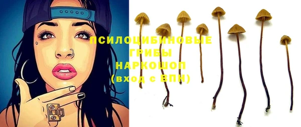 ПСИЛОЦИБИНОВЫЕ ГРИБЫ Покров