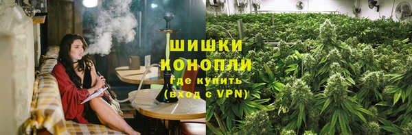 эйфоретик Покачи